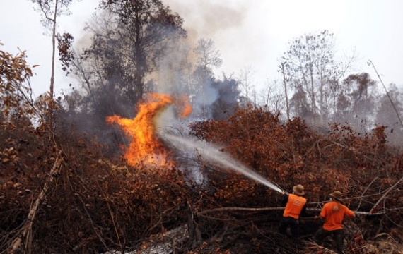 215 Personil Dikerahkan Padamkan Karhutla Bengkalis
